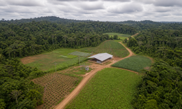 BNDES eleva aprovações de crédito no Amapá para R$ 153,5 milhões no semestre