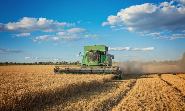 Cerca de 83% do crédito rural para soja teve aderência ao cultivo financiado, aponta Serasa