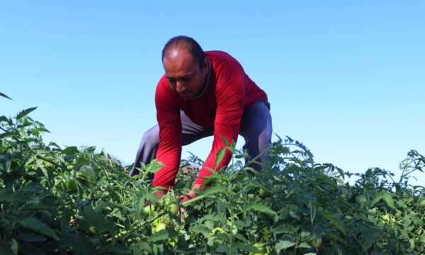 Entidades pedem apoio de candidatos em defesa da agroecologia