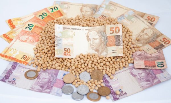 Crédito rural encolhe 26% em um ano e acende alerta para os preços dos alimentos