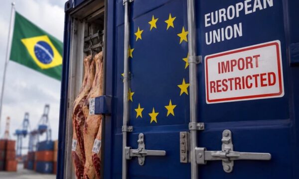 Radar Rural: UE bloqueia carne brasileira, agro sustenta PIB e soja inicia safra