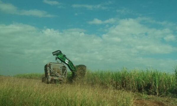 Biocombustível: chuvas atípicas impulsionam preços do etanol mesmo com estoque robusto no mercado paulista, analisa USP