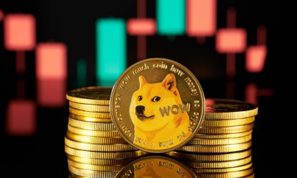 Bitwise encerra ETF de Dogecoin menos de um ano após lançamento