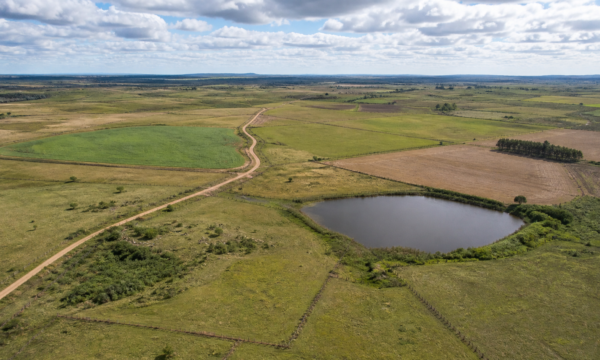 Edital do ATER Bem Viver Pampa II abre contratação no Rio Grande do Sul