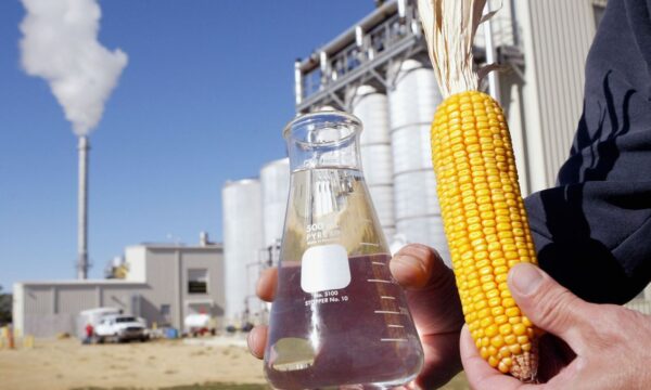 Etanol de milho cresce no Brasil, mas expansão esbarra em desafio bilionário da biomassa; solução estaria na cana-de-açúcar?