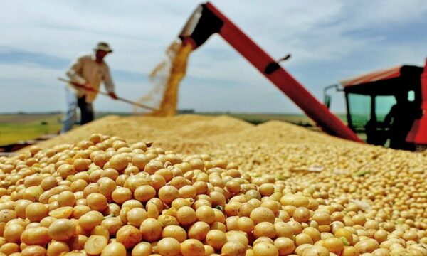 PIB desacelera, mas cresce 0,5% no 2º trimestre, puxado pela agropecuária, diz IBGE
