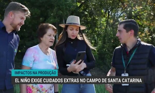 Produtores de Santa Catarina adotam terraceamento contra El Niño