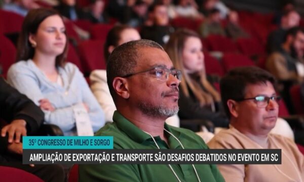Desafios na produção e transporte de milho no Brasil em debate