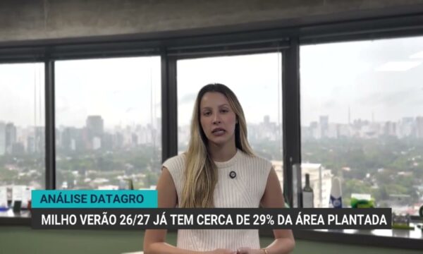 Avanço no plantio de milho verão e dados de soja no Brasil