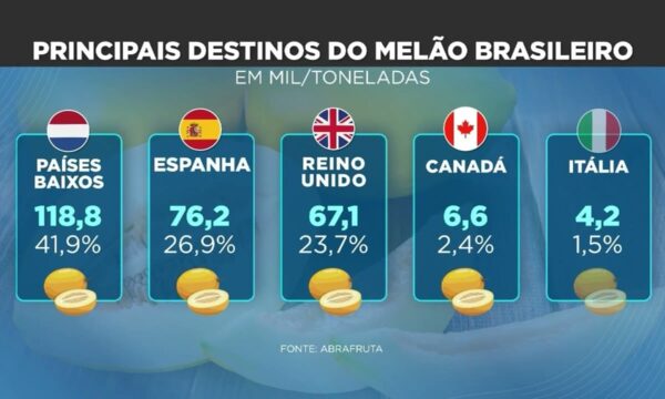 Exportação de melão brasileiro enfrenta desafios e oportunidades em 2023