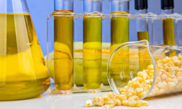 Biocombustíveis já somam R$ 289 bilhões em investimentos registrados no Brasil